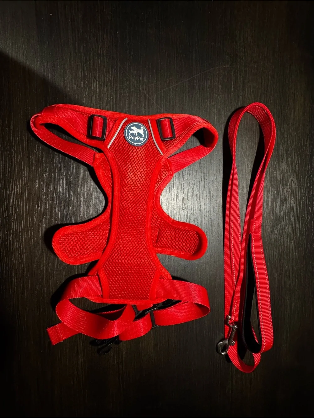 Bright Red Padded Dog Harness with Matching Leash